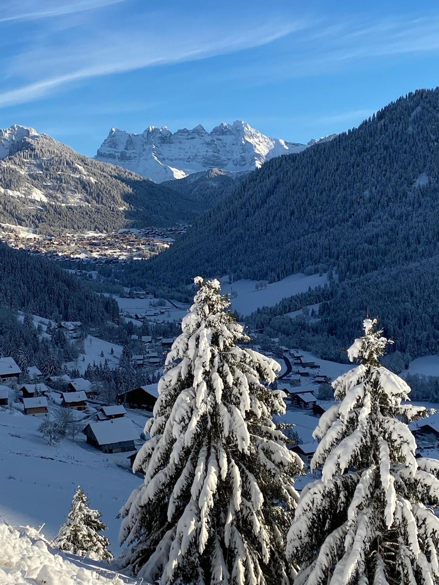 Charming, Cosy Chalet Nestled In A Breathtaking Surrounding With Spectacular, Stunning Mountain Views Abondance المظهر الخارجي الصورة